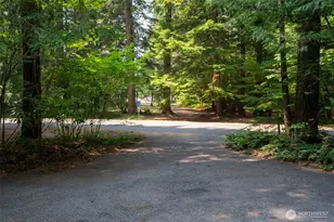 140 N Dow Creek Dr, Hoodsport, WA 98548 - Photo 8