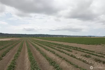 0 Downey Road, Mount Vernon, WA 98273 - Photo 1