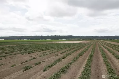 0 Downey Road, Mount Vernon, WA 98273 - Photo 10