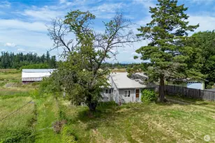 1948 Central Rd, Everson, WA 98247 - Photo 8