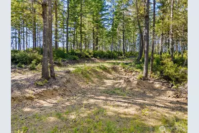 0 Tr3 E Mason Lake Road, Grapeview, WA 98546 - Photo 2