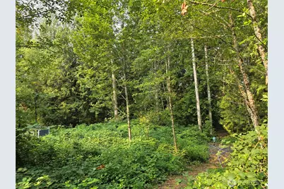 23904 Lot 8 E Lake Kayak Drive, Monroe, WA 98272 - Photo 2