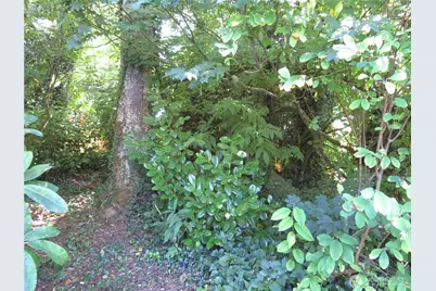 504 Solki Road, Aberdeen, WA 98520 - Photo 24