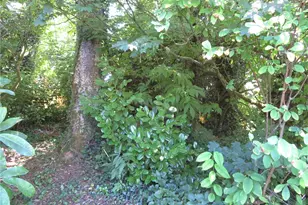 504 Solki Rd, Aberdeen, WA 98520 - Photo 24