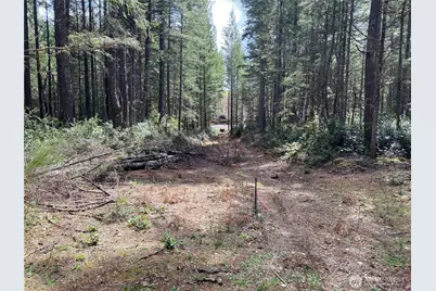 0 Tr4 E Mason Lake Road, Grapeview, WA 98546 - Photo 8