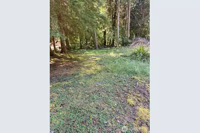 56010 344th Avenue Ct E, Ashford, WA 98304 - Photo 10