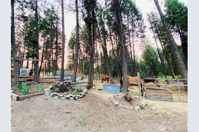116 Pine Chee Road, Oroville, WA 98844 - Photo 16