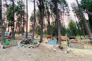 116 Pine Chee Rd, Oroville, WA 98844 - Photo 16