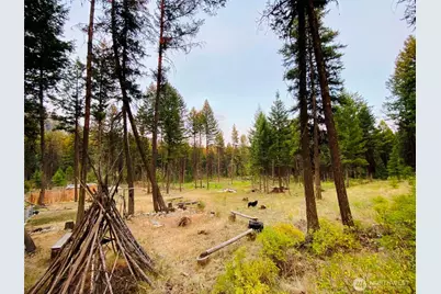 116 Pine Chee Road, Oroville, WA 98844 - Photo 18
