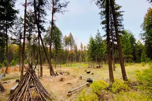116 Pine Chee Rd, Oroville, WA 98844 - Photo 18