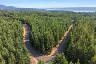 351 N Evening Star Ln, Hoodsport, WA 98548 - Photo 34