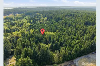 13512 94th Street, Anderson Island, WA 98303 - Photo 4