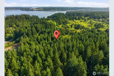 13512 94th Street, Anderson Island, WA 98303 - Photo 2