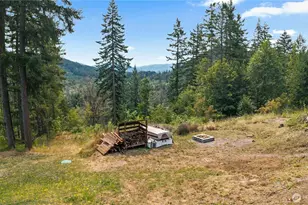 50001 146th Ave E, Eatonville, WA 98328 - Photo 28