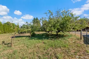400 S Bank Rd, Elma, WA 98541 - Photo 28
