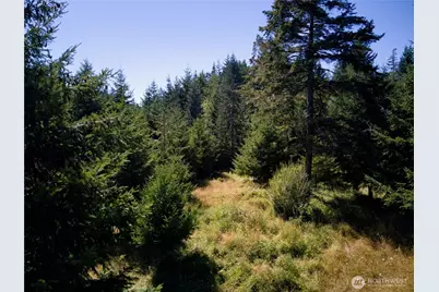 0 Pcl 5 E Scarlet Road, Shelton, WA 98584 - Photo 2