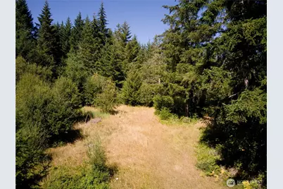 0 Pcl 4 E Scarlet Road, Shelton, WA 98584 - Photo 2