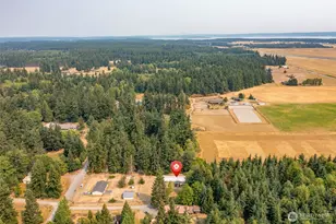 803 Hazzle Ct, Coupeville, WA 98239 - Photo 40