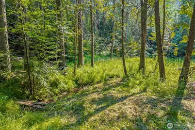 2423 Quinns Meadow Road #L, Colville, WA 99114 - Photo 20