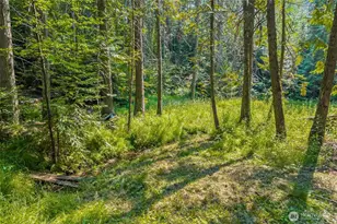 2423 Quinns Meadow Rd, Colville, WA 99114 - Photo 20