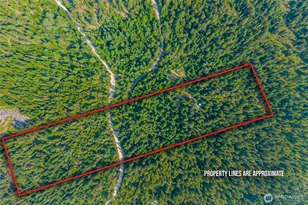 2423 Quinns Meadow Rd, Colville, WA 99114 - Photo 36