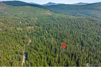 2423 Quinns Meadow Road #L, Colville, WA 99114 - Photo 34