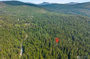 2423 Quinns Meadow Rd, Colville, WA 99114 - Photo 34