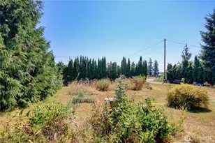 6749 Guide Meridian Rd, Lynden, WA 98264 - Photo 38