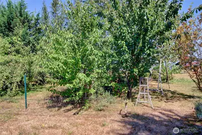 6749 Guide Meridian Road, Lynden, WA 98264 - Photo 32