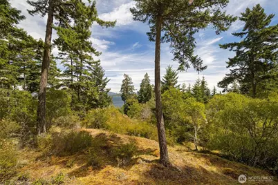 164 Bramblewood Lane, Friday Harbor, WA 98250 - Photo 36