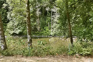 2241 Kalama River Rd, Kalama, WA 98625 - Photo 6