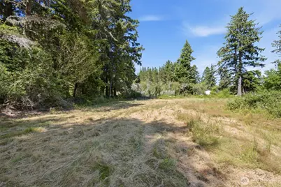9905 Sandridge Road, Long Beach, WA 98631 - Photo 4