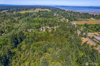 9905 Sandridge Road, Long Beach, WA 98631 - Photo 16