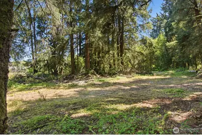 9905 Sandridge Road, Long Beach, WA 98631 - Photo 8