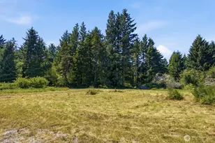 9905 Sandridge Rd, Long Beach, WA 98631 - Photo 1