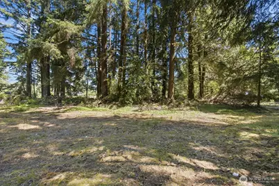 9905 Sandridge Road, Long Beach, WA 98631 - Photo 6