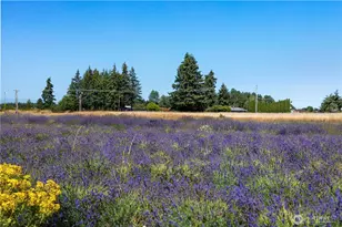 18507 Sargent Rd, Rochester, WA 98579 - Photo 24
