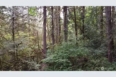 2616 Schirm Road NW, Olympia, WA 98502 - Photo 12