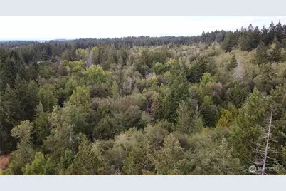 2616 Schirm Road NW, Olympia, WA 98502 - Photo 2