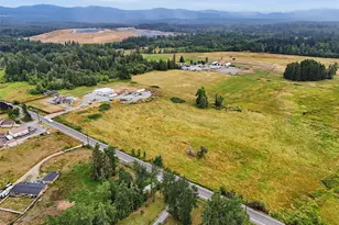 9704 304th St E, Graham, WA 98338 - Photo 40