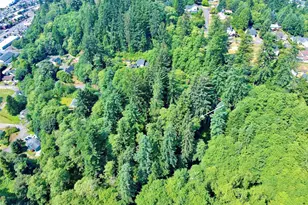 0 Blk 4 Lots 20-22 Pioneer Blvd, Aberdeen, WA 98520 - Photo 1