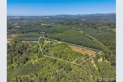 673 Cinebar Road, Cinebar, WA 98533 - Photo 2