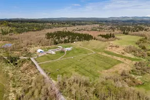 222 Nicholson Rd, Ethel, WA 98542 - Photo 40