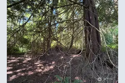0 Weyers Lane SW, Port Orchard, WA 98366 - Photo 8