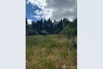 0 S 2nd Street, Roslyn, WA 98941 - Photo 1