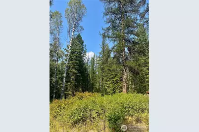 3891 R Cedar Creek Road, Colville, WA 99144 - Photo 10