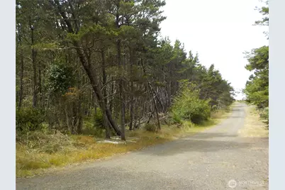 890 273rd Ln, Ocean Park, WA 98640 - Photo 2