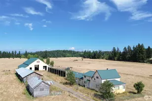 12306 Bald Hill Rd SE, Yelm, WA 98597 - Photo 6