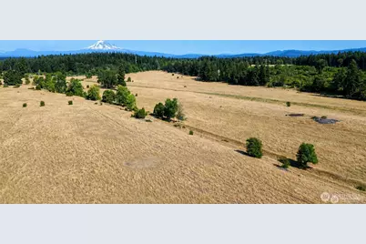 12306 Bald Hill Rd SE, Yelm, WA 98597 - Photo 1
