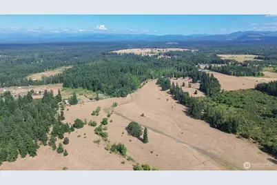 12306 Bald Hill Rd SE, Yelm, WA 98597 - Photo 12